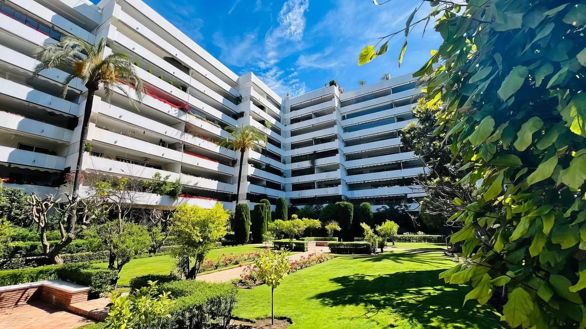 91ebe4685e78dd83089a2eaf7572e546 - 19