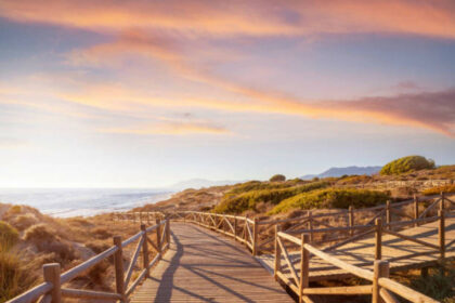 923d8730534b02425c30c825020d8fac - 20