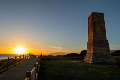 923d8730534b02425c30c825020d8fac - 22