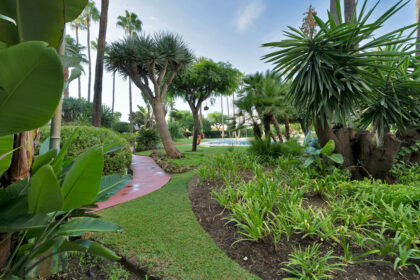 931f561dbfdbf2fc7eeb4e98ae655356 - 37