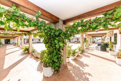 patio