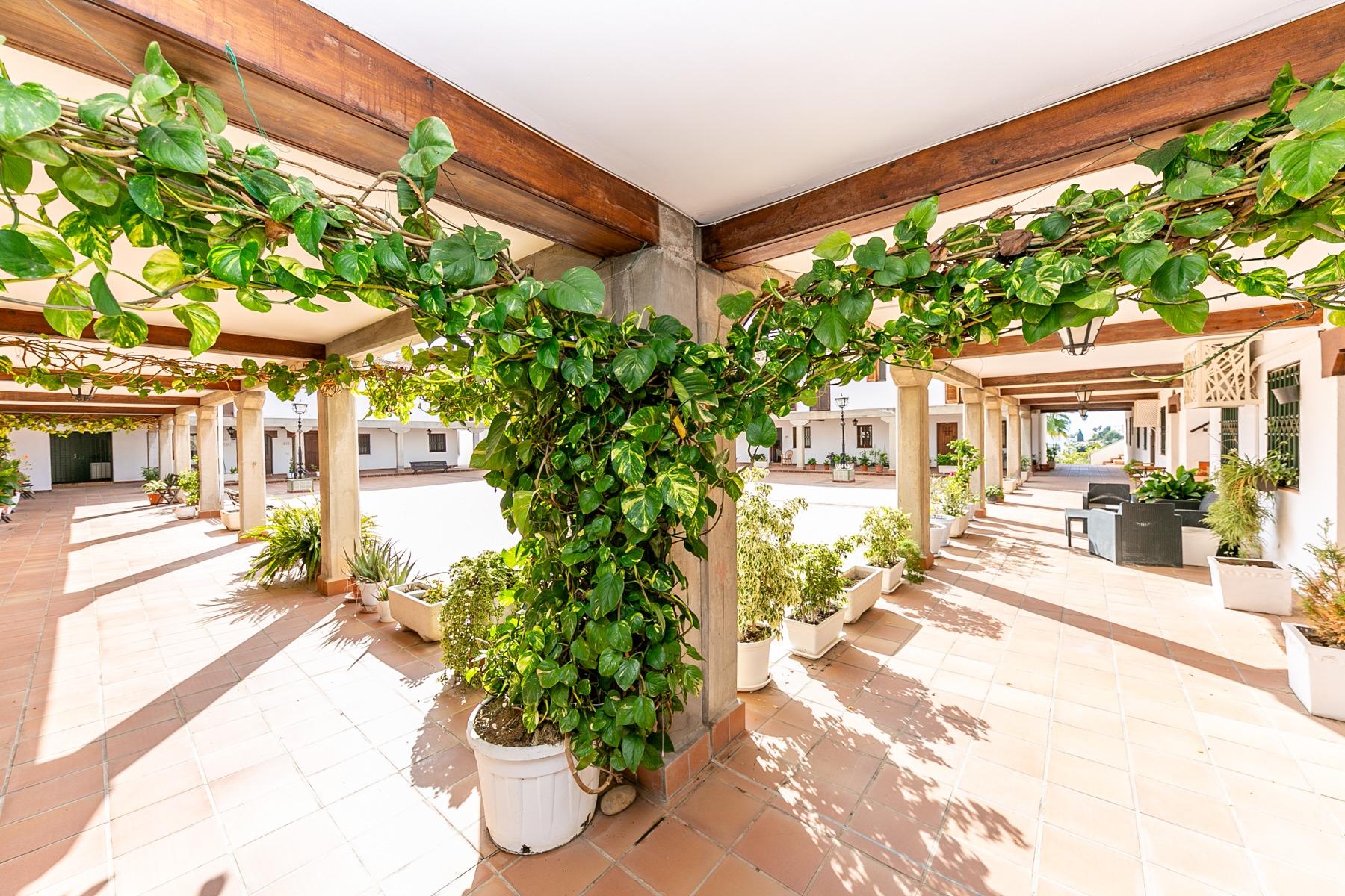 patio