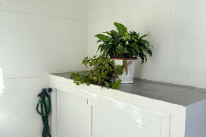 948655d8f26ad32c39cc87bb6c6cfc1d - 24