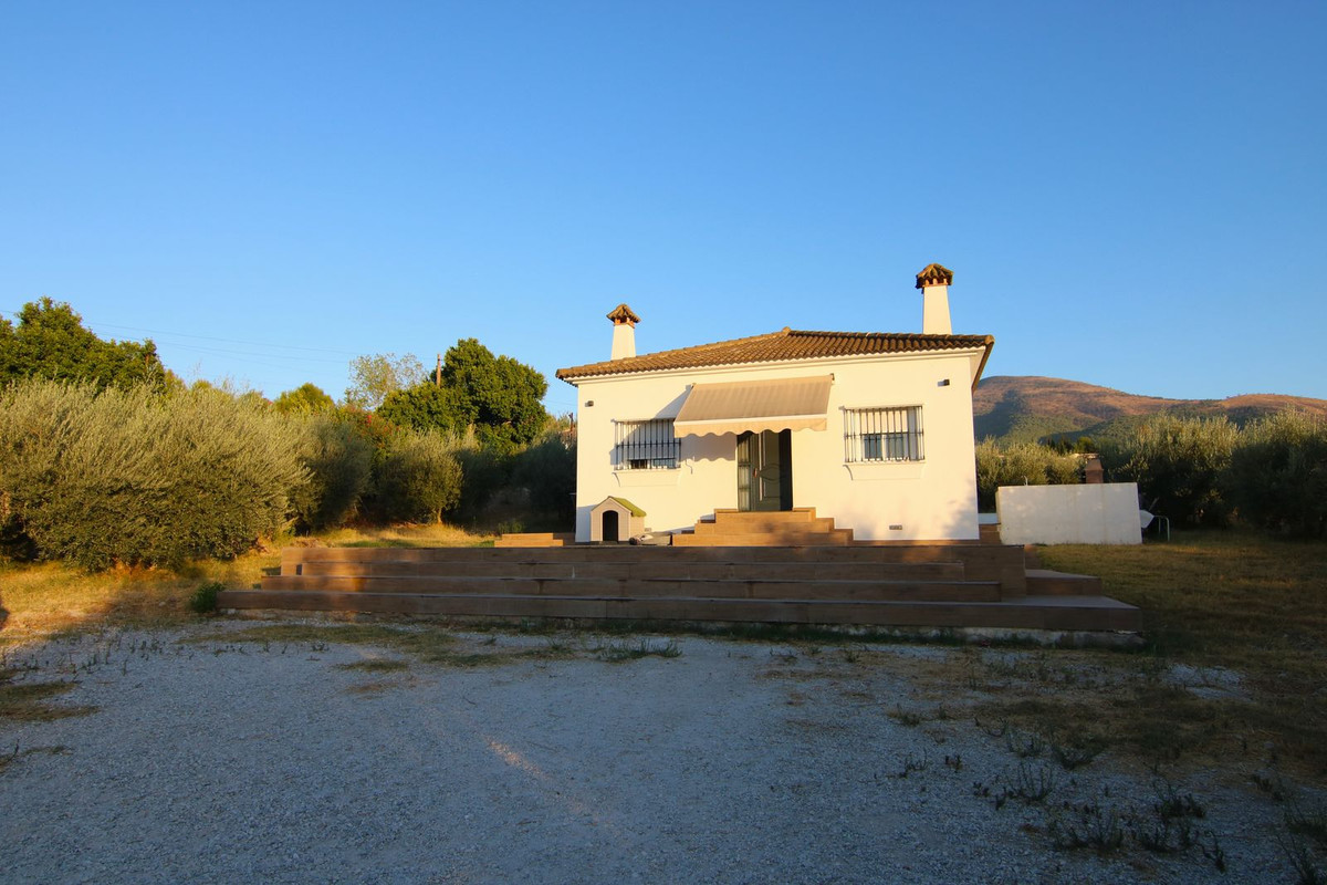 951f6e92acbe363506d64c32c5a9004c - 1