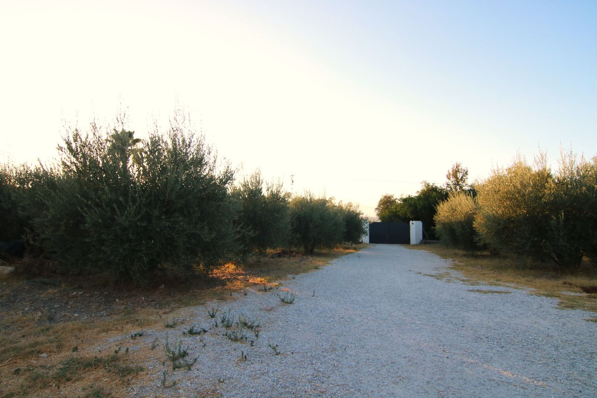 951f6e92acbe363506d64c32c5a9004c - 20