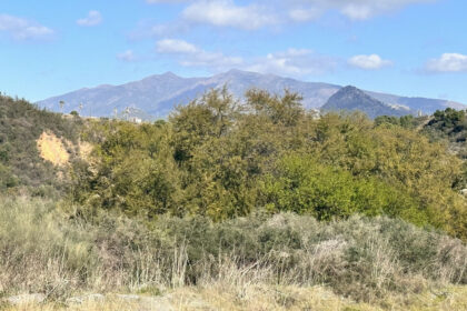 95ed301e5e8adeca4fd58e6852a59c25 - 43