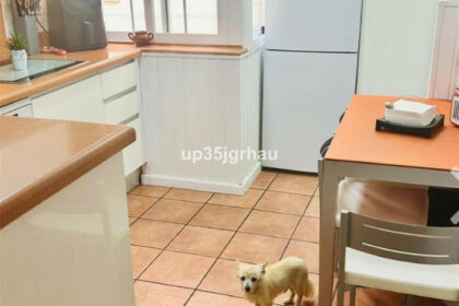 961f338b0db85a86c8f5c14e5937d181 - 7