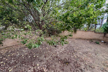 9711690fc040d4a709356e87f4bb1402 - 27