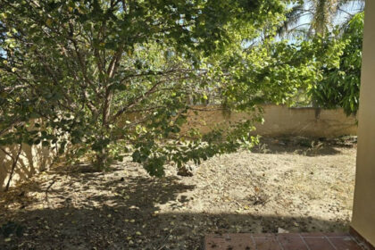 9711690fc040d4a709356e87f4bb1402 - 38