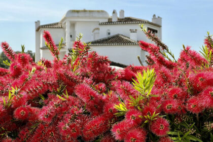 9753d55cff977a3af3278a73c02c3501 - 3