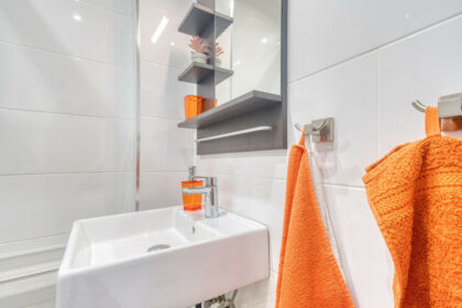 97e9f7c3acb70fdc9d1cf3e02b8444ed - 12