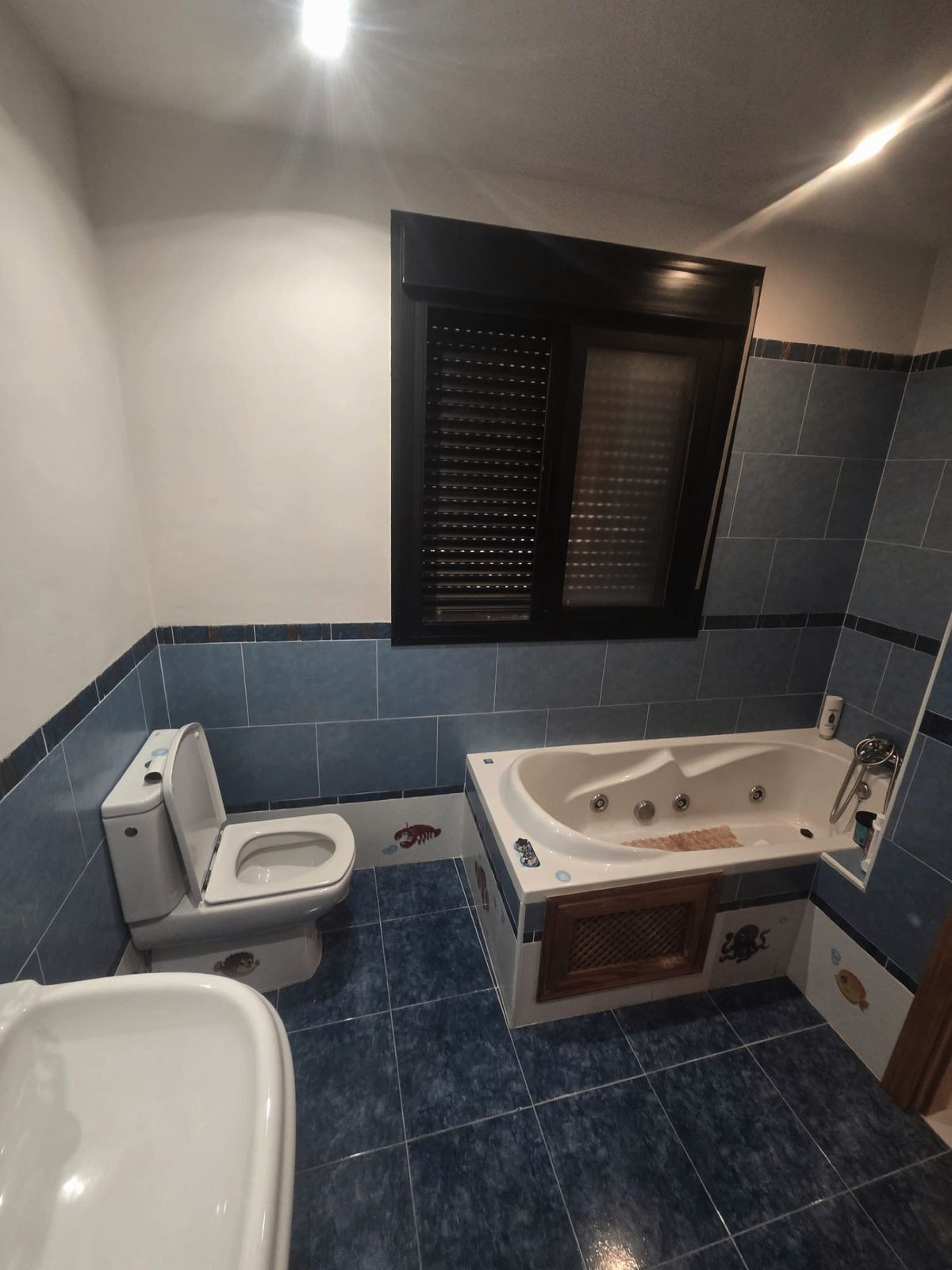 9800a06a14044eba9abfcc4fa4b35e80 - 15