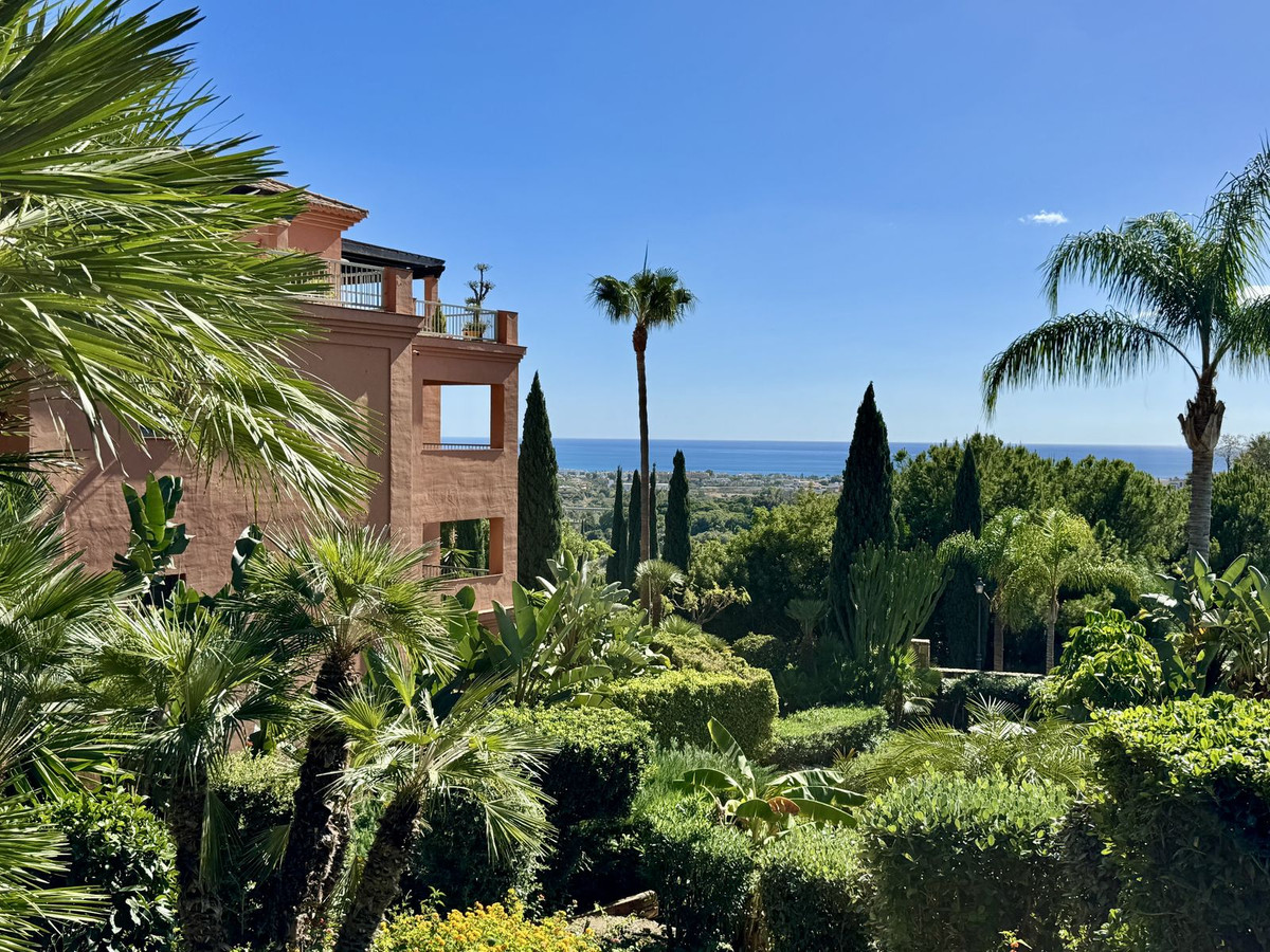 992fee919fa2b2110b52f96fa84dcc88 - 24