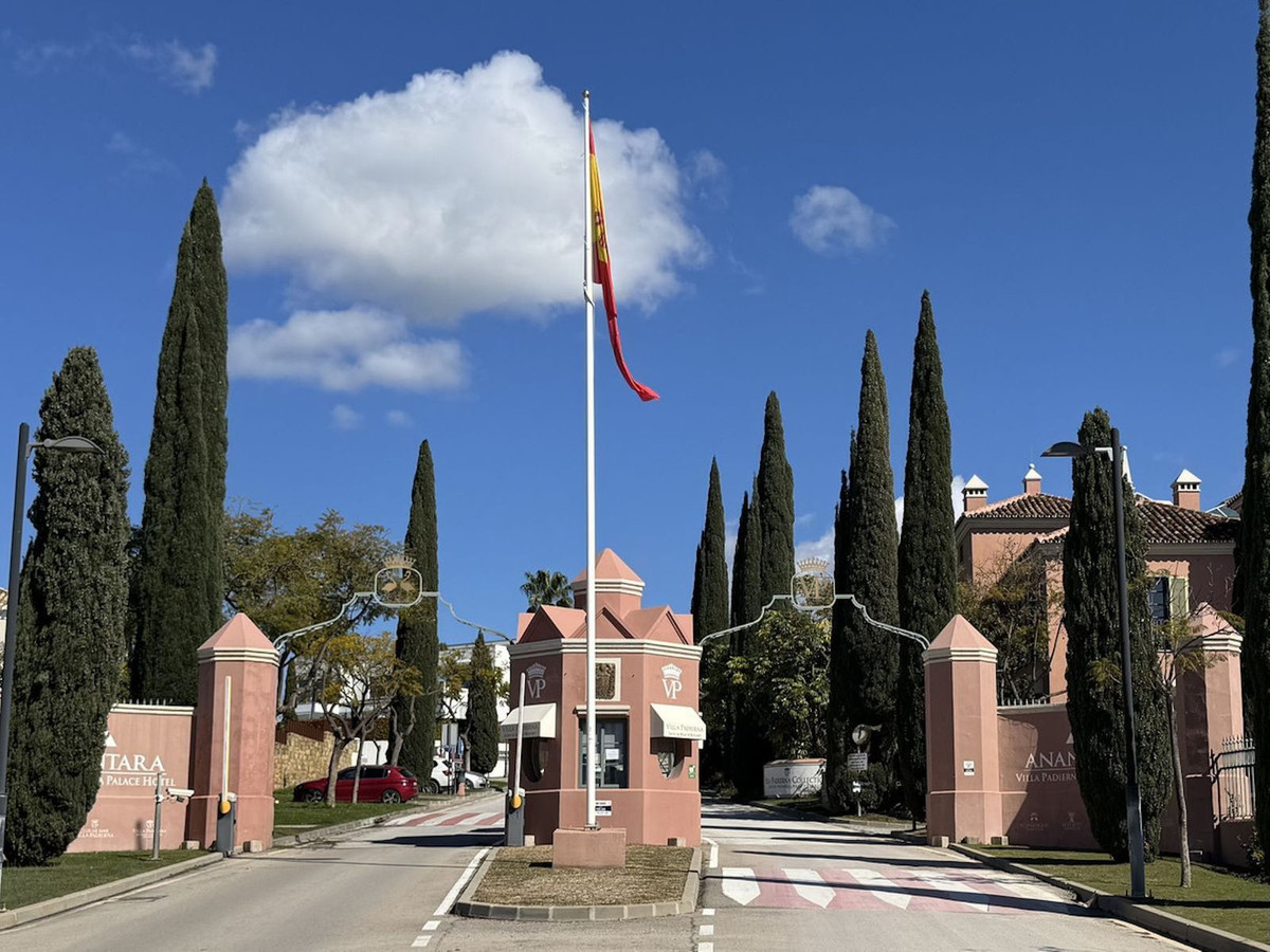 992fee919fa2b2110b52f96fa84dcc88 - 29