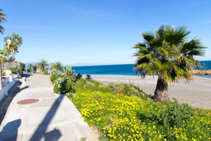 99b01d6b9411b39ef2147d002f6881d2 - 48