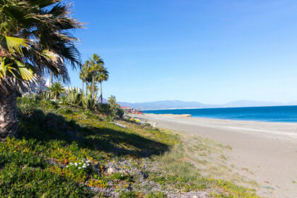 99b01d6b9411b39ef2147d002f6881d2 - 49