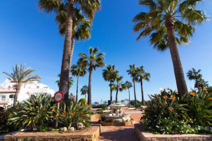 99b01d6b9411b39ef2147d002f6881d2 - 52