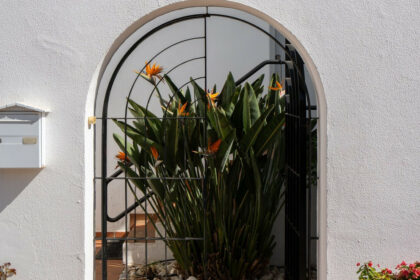 9a23957751adeadc8b5e2ff3e3f0c8d0 - 28