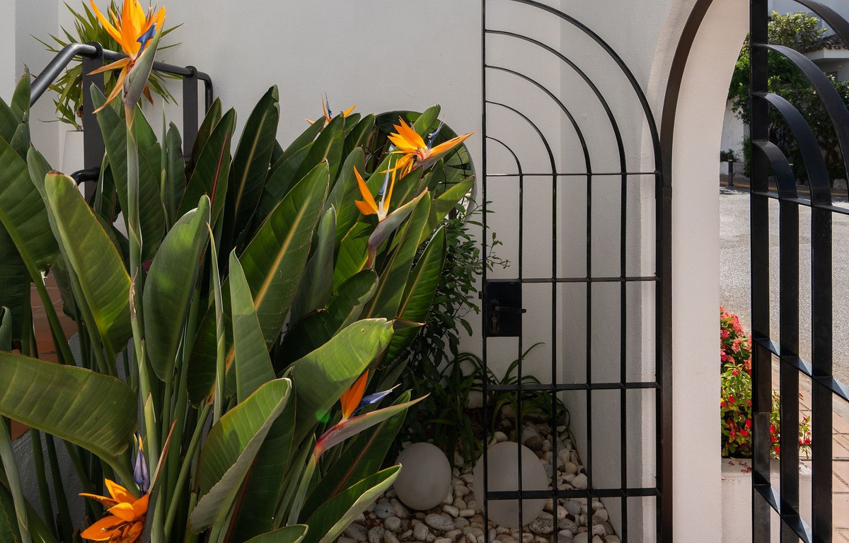 9a23957751adeadc8b5e2ff3e3f0c8d0 - 30