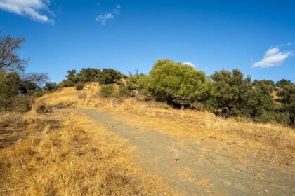 9b5a4f081313258b9c17d05706f676e2 - 10