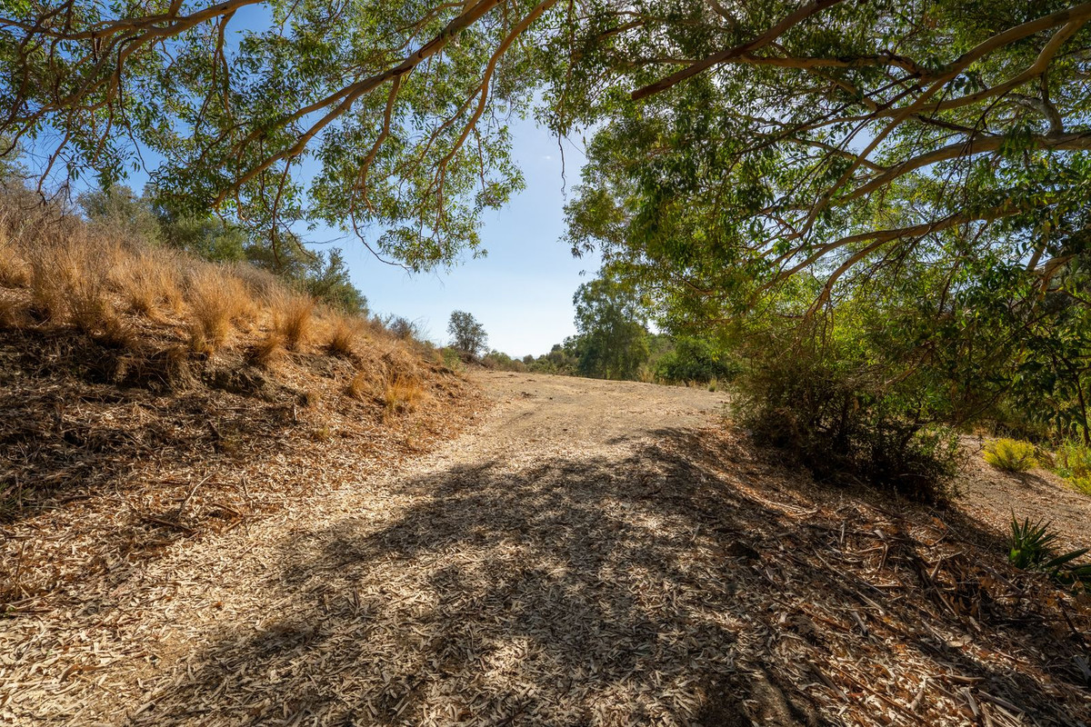 9b5a4f081313258b9c17d05706f676e2 - 6