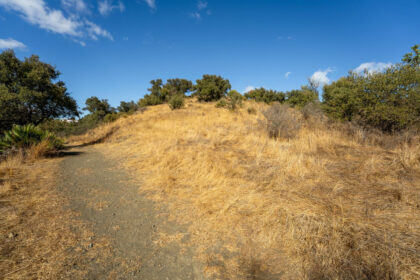 9b5a4f081313258b9c17d05706f676e2 - 8