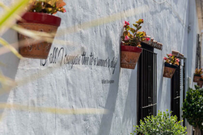 9d56d1a56d8497263d44601fb87822cb - 46