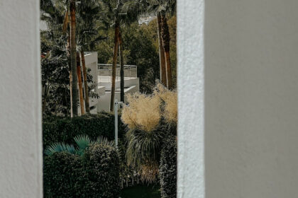 a12d83ff5ef9d02b131d31390708c6f6 - 39