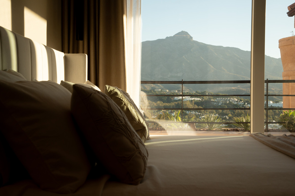 a212b6529058417fb629ab5cd3d3a804 - 31