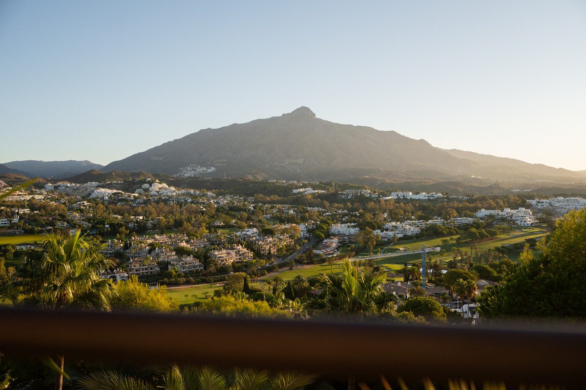 a212b6529058417fb629ab5cd3d3a804 - 58