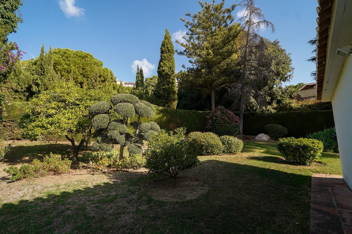 a3f5ca5a868ffef5882726c59b0ea238 - 4