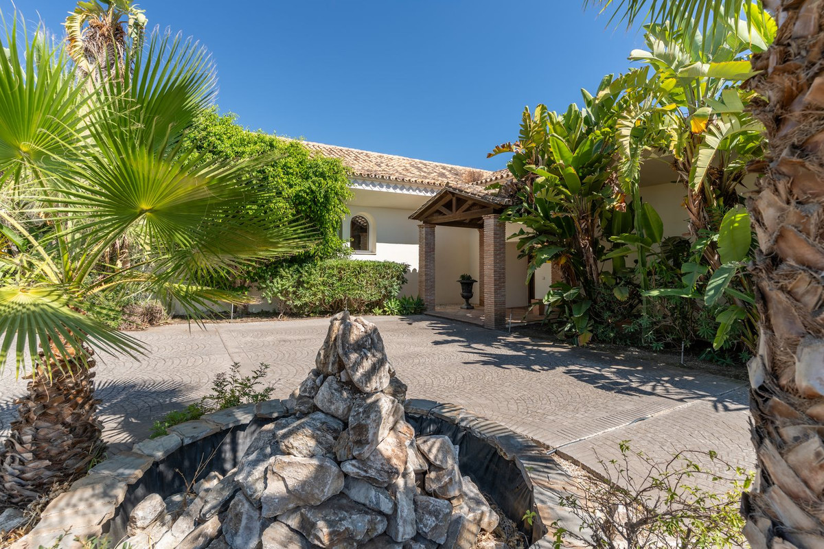 a55cee0dcbafd7754d6878573f8afa4a - 53