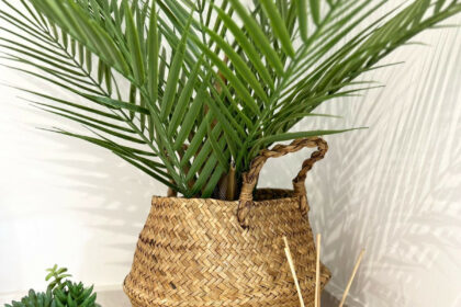 a6179fe0e7a7efcea154f3c8de9a5680 - 7