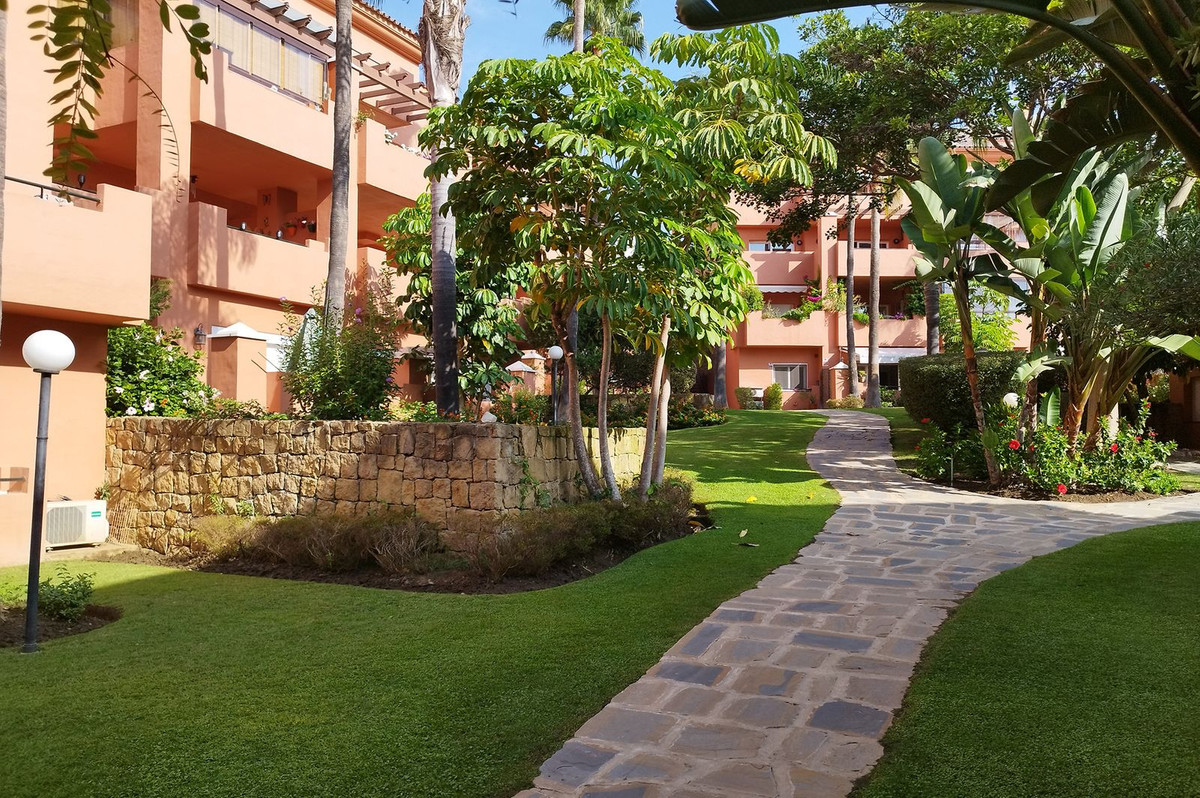 a710814dadbba5c1080291ea7af05cf7 - 17