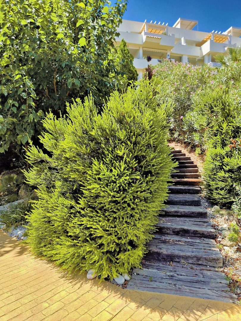 a9f628454ea0224a7b45aa681cbfbab6 - 27