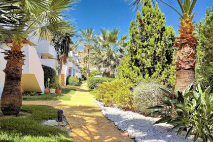 a9f628454ea0224a7b45aa681cbfbab6 - 30