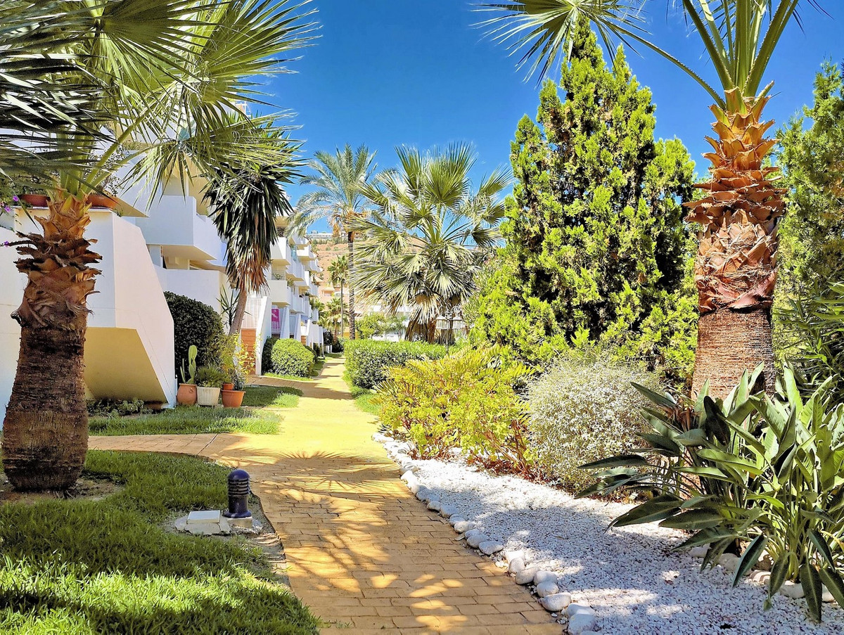 a9f628454ea0224a7b45aa681cbfbab6 - 30