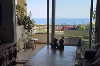 a9f628454ea0224a7b45aa681cbfbab6 - 4