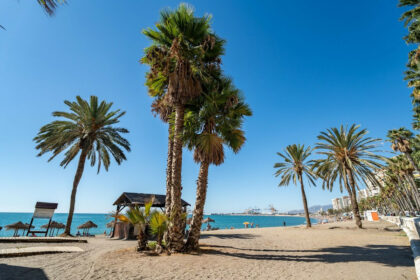 ab4ce514539bb0119e1a7e22e26e399e - 24