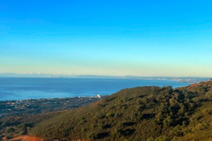 vistas