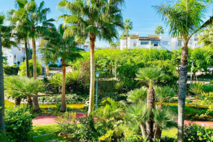 adbe8a1702210145641e166adbd9f93e - 32