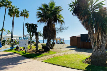 adbe8a1702210145641e166adbd9f93e - 37