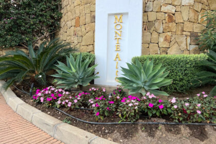 ae8aa59a3240e3455c201d6e321ff63d - 43