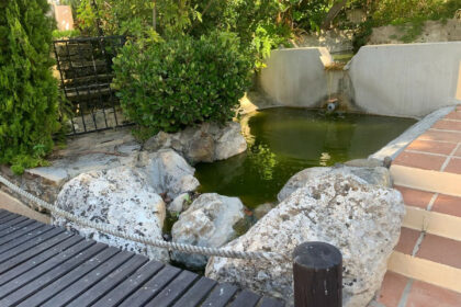 b022e4649a4f6e9c00ce478d81438a08 - 12