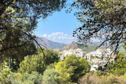 b078accfa43d5f6638a7a2e5fc65c0bf - 20