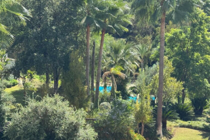 b078accfa43d5f6638a7a2e5fc65c0bf - 24