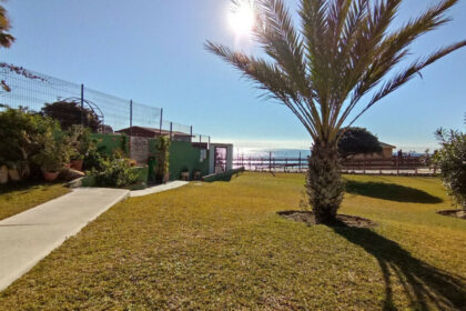 b1a82e6f14a3ab638477ba9052fc5d3d - 25