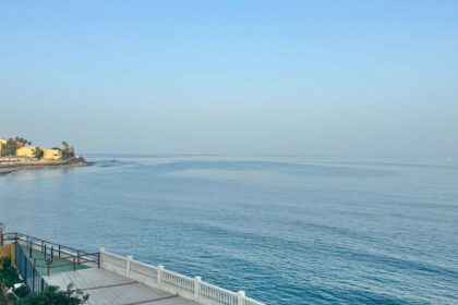 b1a82e6f14a3ab638477ba9052fc5d3d - 31