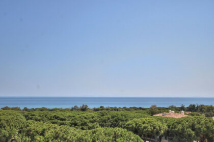 b1e69a870af466a30bdb5dbe9adb6055 - 1