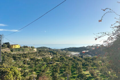 b25b49eb3df79972b71f88ac31555fcd - 9